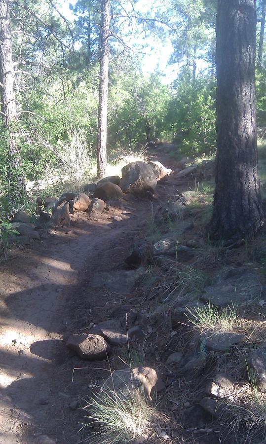 A winding dirt trail surrounded by trees and rocks, with sunlight filtering through the foliage, indicating a natural outdoor setting. Lower Oldham Loop mountain bike trail.