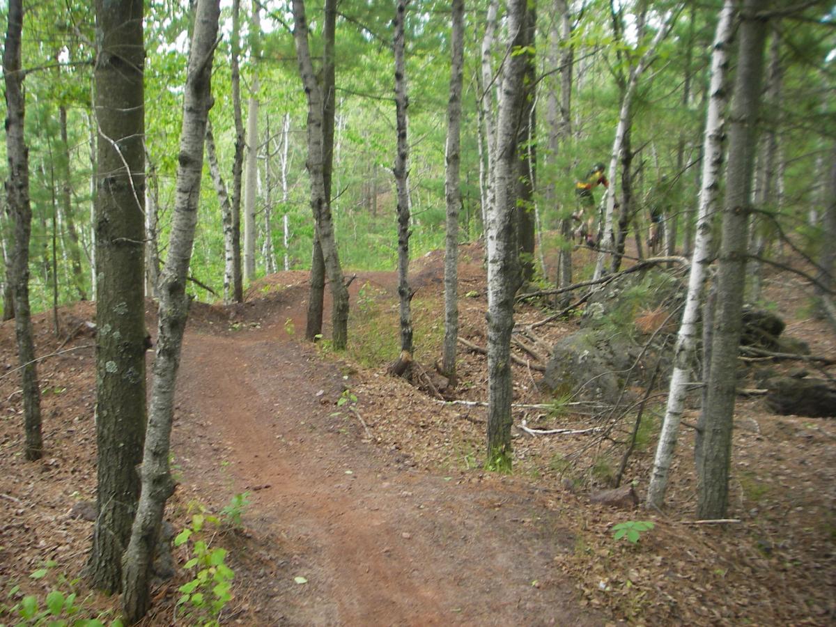 A dirt path winding through a dense forest with tall trees and underbrush, featuring a mix of green foliage and brown earth. The landscape is tranquil and natural, with patches of sunlight filtering through the leaves. Cuyuna Lakes mountain bike trail.