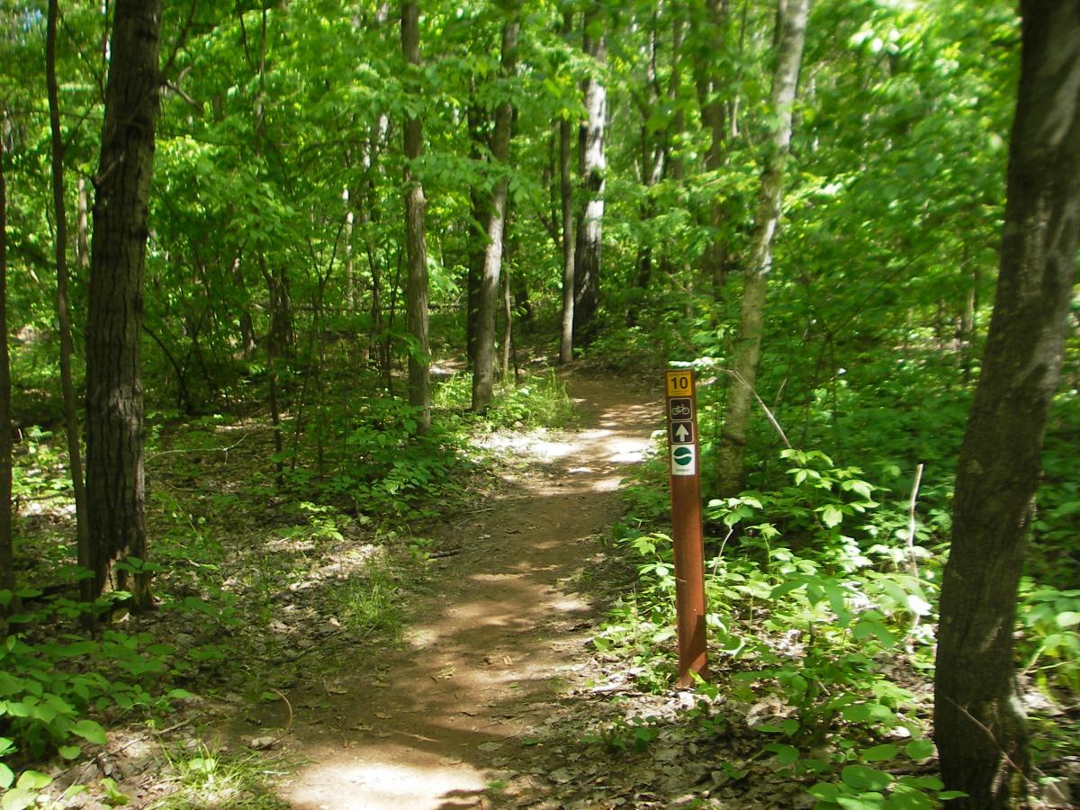 A winding dirt path through a lush, green forest, with tall trees lining the trail. A trail marker stands on the right, indicating trail number 10, along with symbols for biking and hiking. Sunlight filters through the leaves, creating a serene and inviting atmosphere. Cuyuna Lakes mountain bike trail.