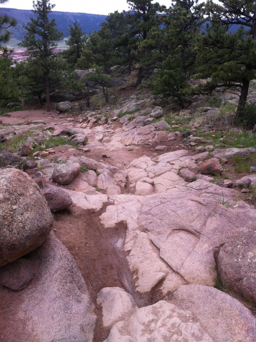 A rocky hiking trail winding through a forested area, featuring large boulders and patches of dirt, with greenery and pine trees lining the path. The landscape is mountainous, with visible slopes in the background. Hall Ranch mountain bike trail.