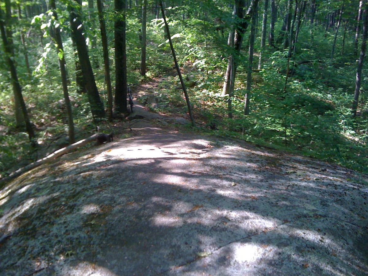 A sunlit rocky outcrop surrounded by dense green trees in a forested area, with a visible path meandering through the foliage. Vietnam Trails mountain bike trail.