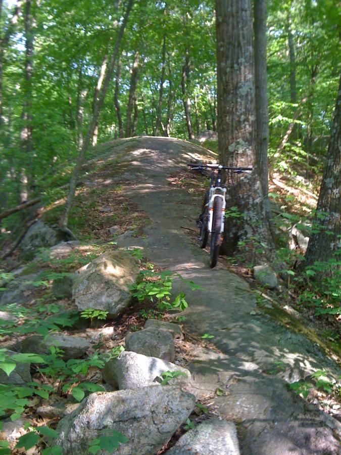 A mountain bike is leaning against a tree on a rocky trail surrounded by dense greenery. The path is narrow and winding, with large stones and a natural rock formation visible on the left side, creating an inviting atmosphere for outdoor enthusiasts. Sunlight filters through the leaves, illuminating the lush surroundings. Vietnam Trails mountain bike trail.