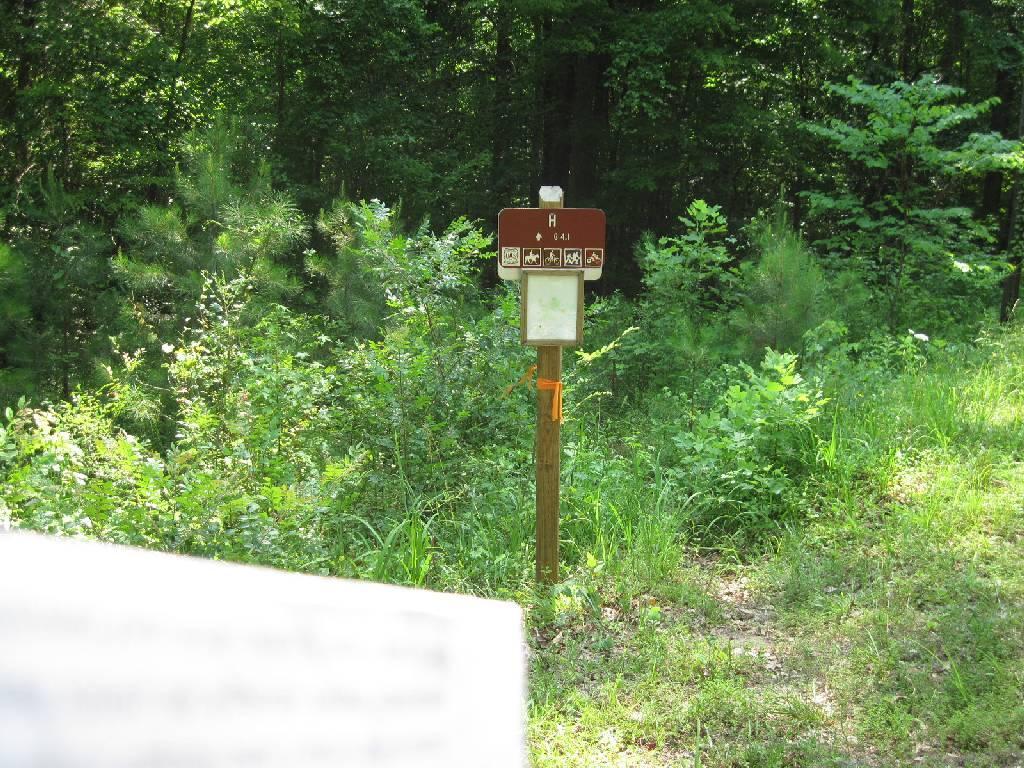 A wooden trail sign surrounded by lush greenery, indicating hiking routes and trail markers. The sign is positioned along a dirt path, with vibrant plants and trees in the background. Long Cane Horse Trail mountain bike trail.