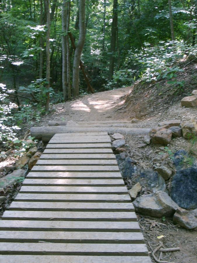 A wooden bridge made of slats crosses a small creek in a lush, green forest. The path is surrounded by trees and bushes, with dirt trails leading in different directions. Sunlight filters through the leaves, creating a serene and calm atmosphere. Blankets Creek mountain bike trail.