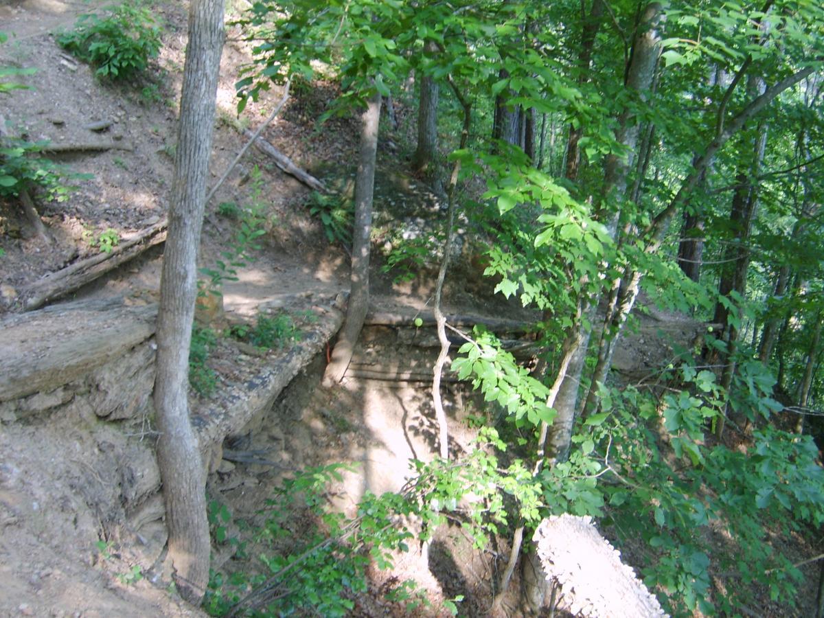 A forested area with a dirt path winding through trees. The terrain is uneven, featuring exposed roots and rocky formations, surrounded by green foliage and undergrowth. Sunlight filters through the leaves, casting dappled shadows on the ground. Blankets Creek mountain bike trail.
