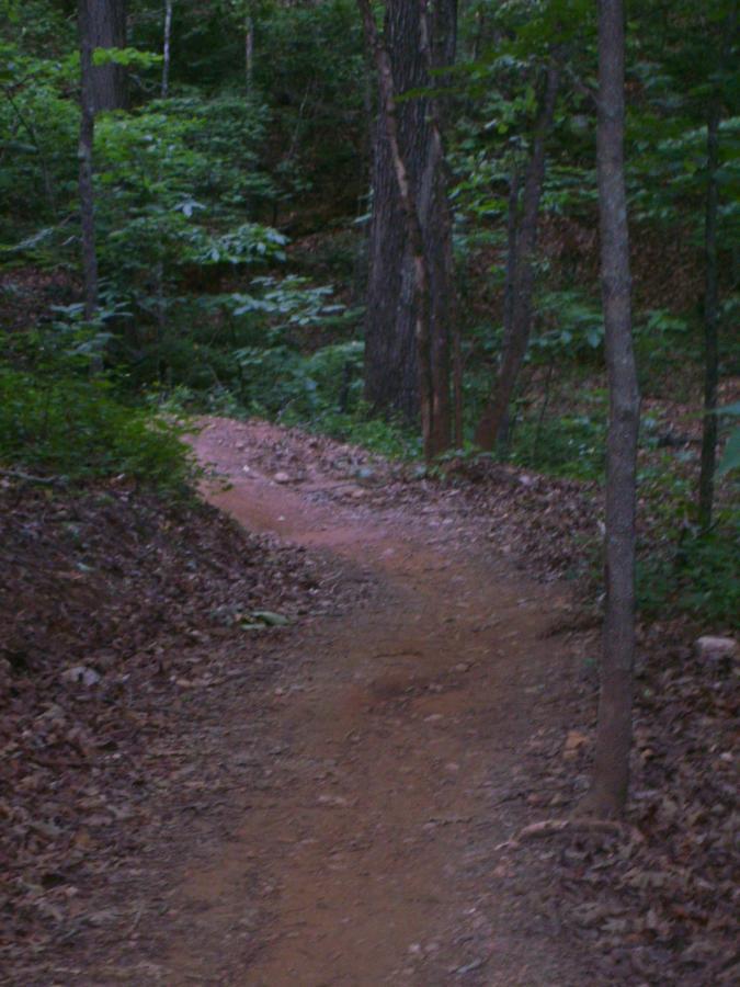 A winding dirt path through a wooded area, surrounded by trees and lush green foliage. The pathway is slightly rocky and covered with fallen leaves, suggesting a serene and natural environment. Blankets Creek mountain bike trail.