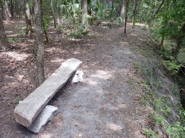 A rustic wooden bench placed on a dirt path surrounded by trees and greenery, with a small embankment along one side. The scene conveys a peaceful outdoor setting, ideal for resting and enjoying nature. Sweetwater Preserve mountain bike trail.