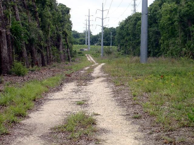 A dirt path winding through a grassy area, bordered by trees on one side and utility poles on the other, leading into the distance. The scene is lush and green, with a clear sky visible above. 20th Ave mountain bike trail.