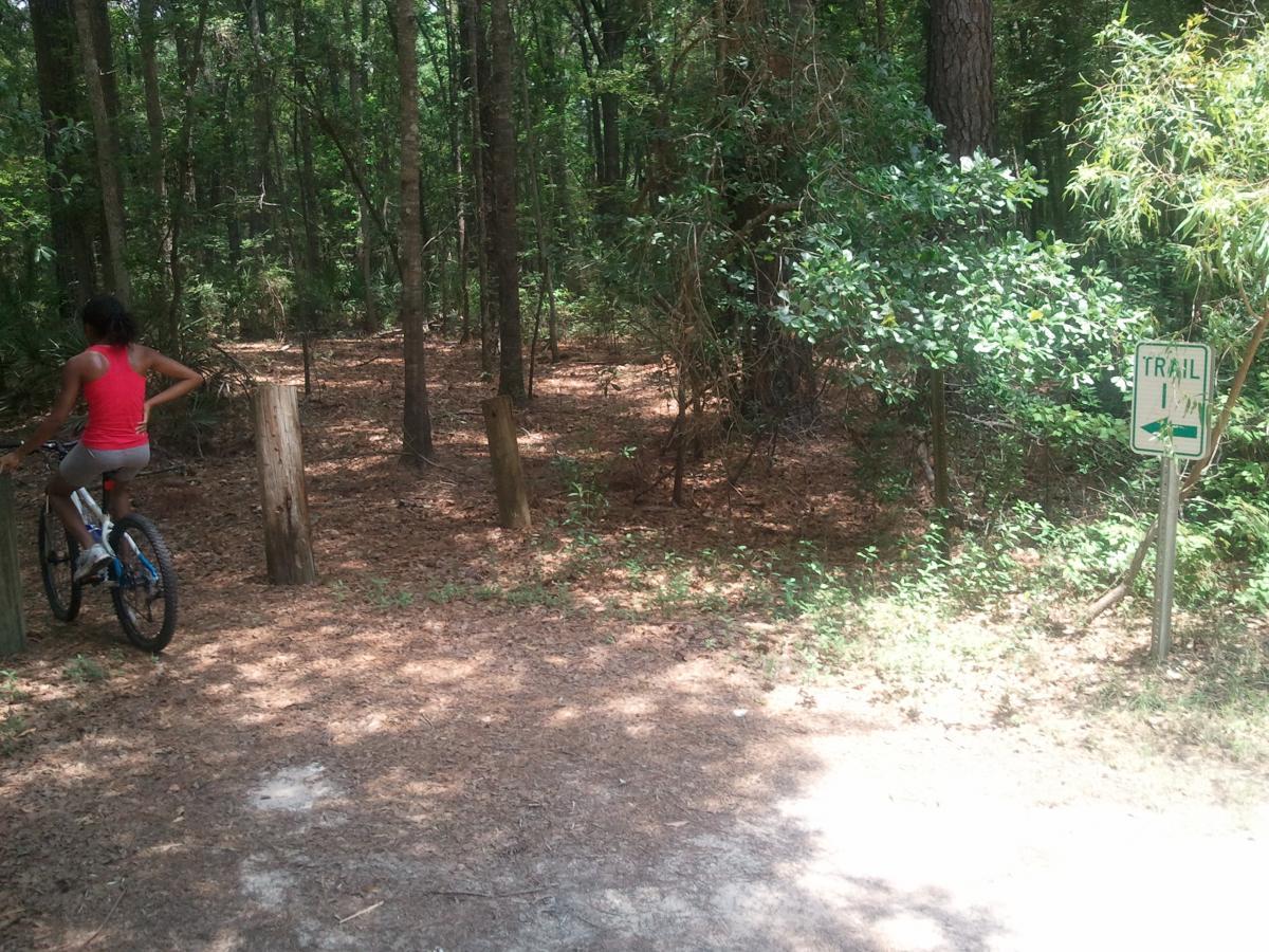 A person riding a bicycle approaches a trail sign in a wooded area. The trail is surrounded by tall trees and lush vegetation, with a mix of sunlight and shadows on the ground covered in fallen leaves. Langdale Park Trail System mountain bike trail.