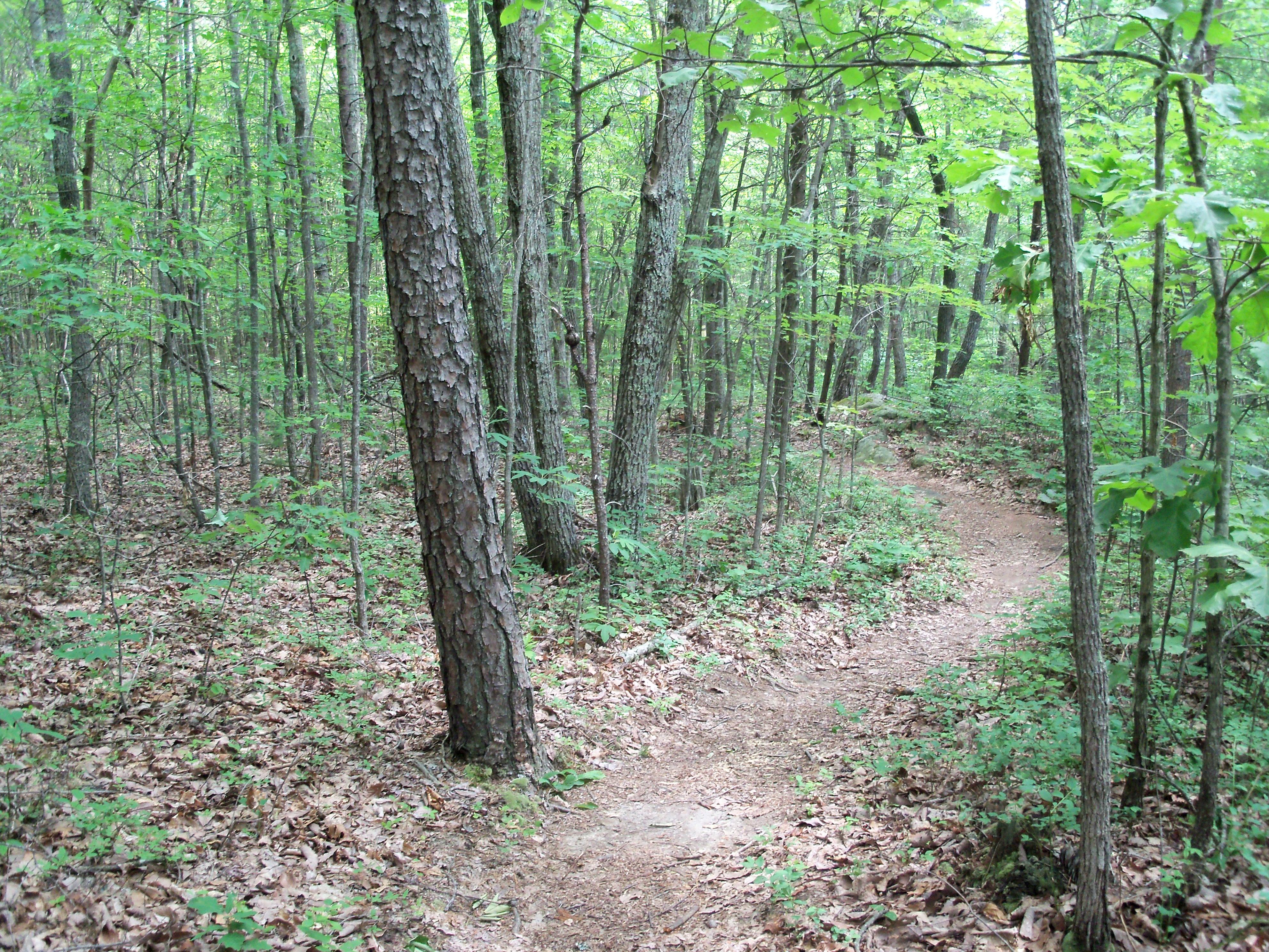 Trail Boss Leveling Kit: Nightmare Or Necessity? - lubfpwd