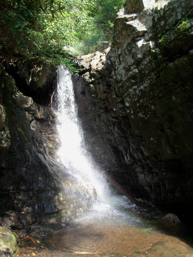 A small waterfall cascading down rocky terrain, surrounded by lush greenery. Sunlight filters through the trees, creating a serene and tranquil atmosphere in the natural setting. Water splashes into a shallow pool at the base of the falls, with smooth stones and leaves scattered around. Chilhowee trail system mountain bike trail.