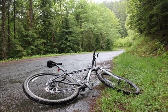 A mountain bike lying on its side on a wet, winding road surrounded by lush green trees. The scene conveys a tranquil, nature-filled setting after rain. Sandy Ridge mountain bike trail.