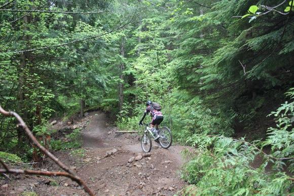 A mountain biker navigating a rocky trail through a lush, green forest, surrounded by tall trees and dense foliage. The scene captures the excitement of outdoor cycling in a natural setting. Sandy Ridge mountain bike trail.
