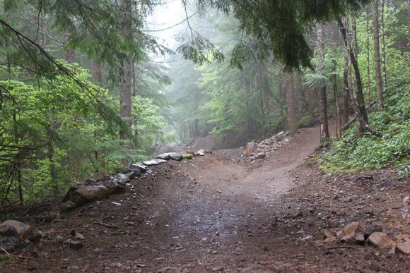 A misty forest trail winding through lush greenery, with soft earth and scattered rocks on the path. The scene conveys a tranquil outdoor atmosphere. Sandy Ridge mountain bike trail.