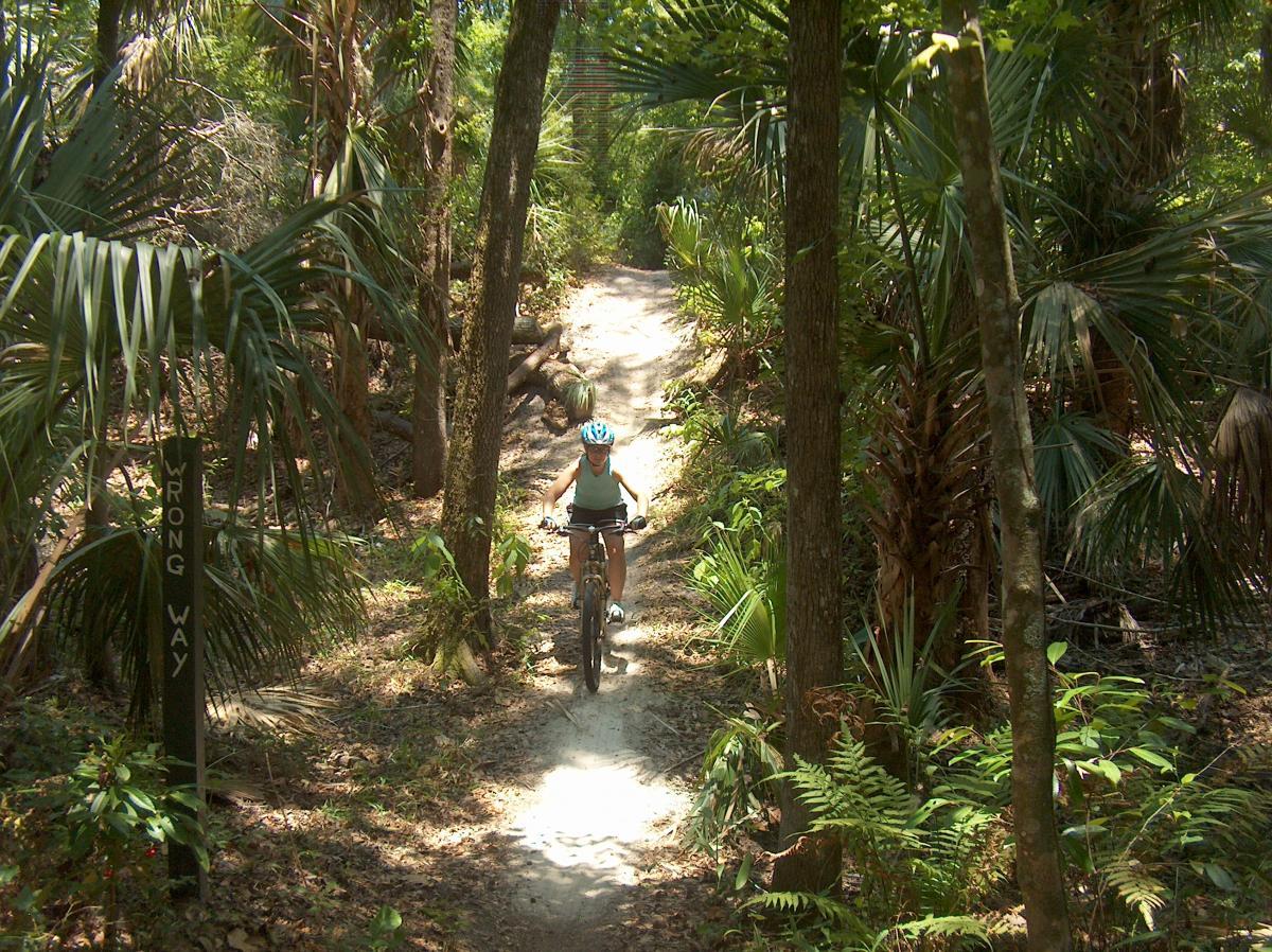 A person riding a mountain bike on a narrow, sandy trail surrounded by dense greenery, including palm trees and ferns. A sign on the left marked "WRONG WAY" indicates the direction of travel is incorrect. The scene captures a sunny day in a natural outdoor environment. Chuck Lennon Park mountain bike trail.