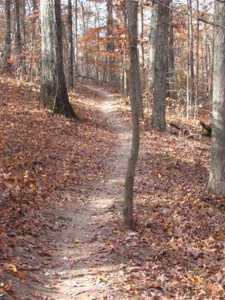 A narrow dirt path meanders through a wooded area, surrounded by tall trees and scattered autumn leaves on the ground. The scene captures the tranquility of nature with warm, earthy tones as some leaves show hints of orange and red, indicating the fall season. Blankets Creek mountain bike trail.