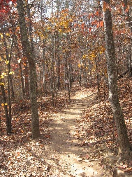 A winding dirt path through a wooded area adorned with autumn leaves in various shades of yellow, orange, and red, flanked by tall trees. The scene captures the tranquil beauty of nature during the fall season. Blankets Creek mountain bike trail.