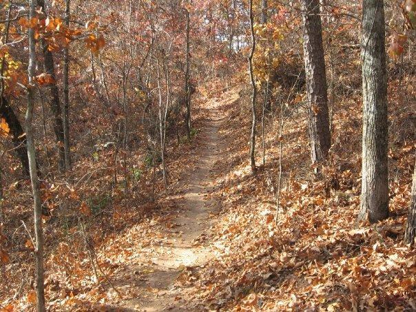 A narrow dirt trail winding through a wooded area filled with autumn foliage, featuring trees with orange and brown leaves and a carpet of fallen leaves along the path. Dwelling Loop mountain bike trail.