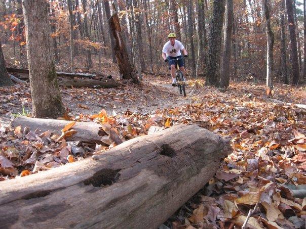 A mountain biker wearing a helmet rides along a dirt trail in a forest during fall, surrounded by trees with autumn leaves on the ground. In the foreground, a fallen log is visible, enhancing the natural setting. Blankets Creek mountain bike trail.