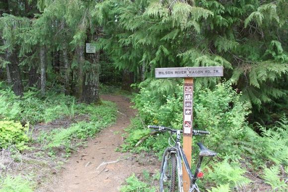 Bicycle leaning against a trail sign at the entrance to a wooded path labeled "Wilson River Wagon Rd. Tr." with lush greenery surrounding the trail. Tillamook State Forest mountain bike trail.