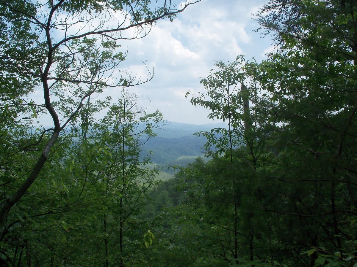 A scenic view of mountains and valleys framed by green foliage under a partly cloudy sky. Chilhowee trail system mountain bike trail.