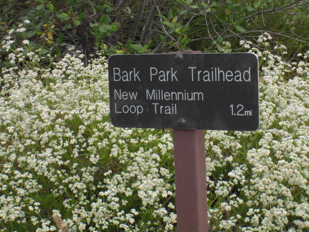 A black trailhead sign for Bark Park, indicating the start of the New Millennium Loop Trail, which is 1.2 miles long. The sign is positioned in front of a background of flowering plants. New Millennium Loop mountain bike trail.