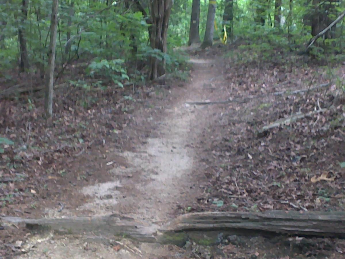 A narrow dirt path winding through a wooded area, surrounded by trees and scattered leaves. The trail features some exposed roots and a fallen log crossing over it, with patches of light filtering through the foliage above. Hobby Park mountain bike trail.