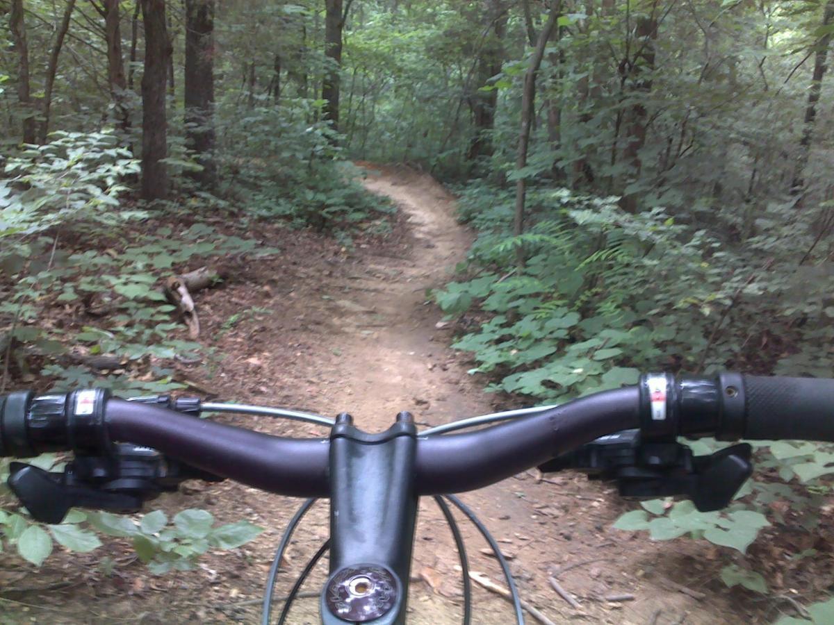 Alt tag: "View from the handlebars of a mountain bike on a dirt trail surrounded by lush green foliage and trees." Hobby Park mountain bike trail.