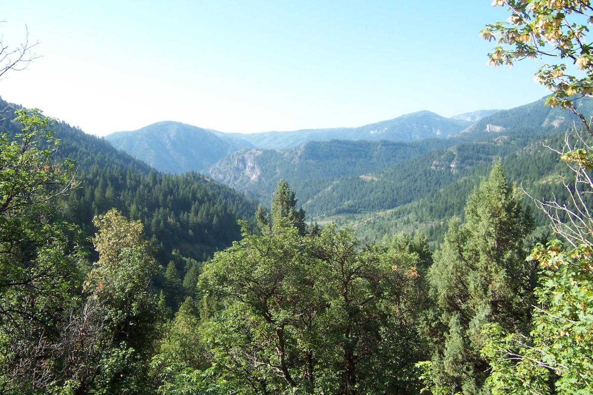 A panoramic view of a mountainous landscape featuring lush green forests, rolling hills, and distant peaks under a clear blue sky. Jardine Juniper mountain bike trail.