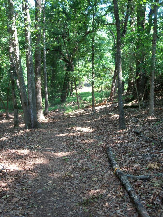 A dirt path winding through a lush green forest, surrounded by tall trees and scattered fallen leaves. Sunlight filters through the canopy, highlighting patches of grass in the background. Sadler's Creek mountain bike trail.