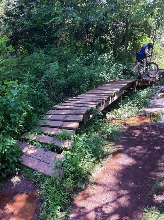 A cyclist navigating a narrow wooden bridge through a lush, green forest area. The path is surrounded by underbrush and the ground is slightly muddy, indicating recent rain. Sunlight filters through the trees, creating a dappled light effect on the bridge and surroundings. Six Mile Run mountain bike trail.