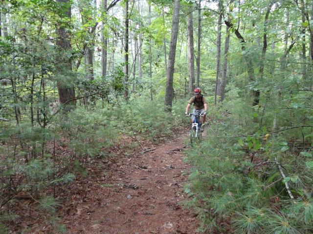 A person riding a mountain bike along a narrow dirt trail surrounded by dense greenery and trees in a forested area. Dark Mountain Trail mountain bike trail.