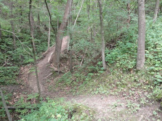 A wooded trail winding through a green forest, with a dirt path leading up a slight incline and surrounded by trees and vegetation. Dunning's Spring mountain bike trail.