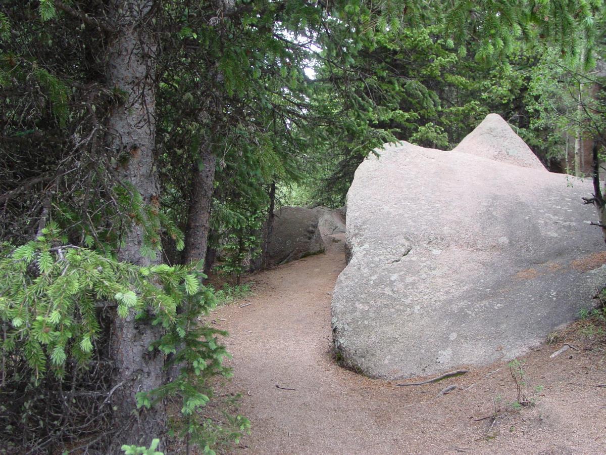 A narrow, winding dirt path surrounded by dense trees and large, smooth rocks, suggesting a tranquil forest setting. The Crags mountain bike trail.