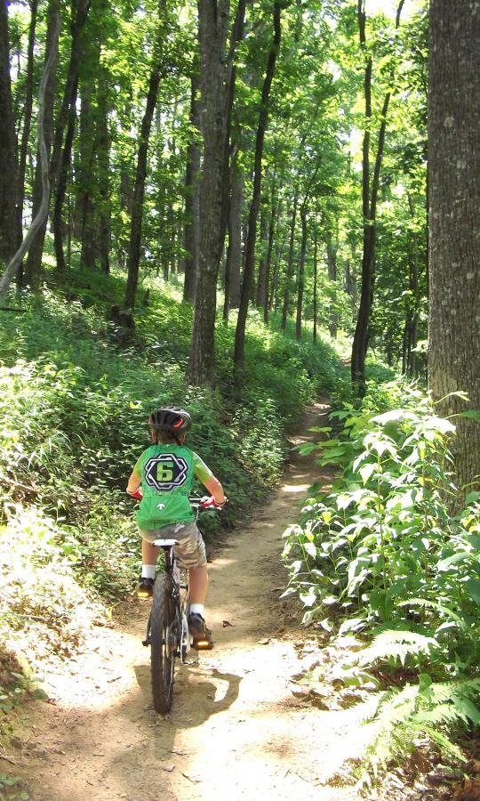 A child in a green sleeveless shirt rides a bicycle along a dirt trail in a lush, green forest, surrounded by tall trees and dense foliage. Sunlight filters through the leaves, creating a bright and inviting atmosphere. DuPont State Recreational Forest mountain bike trail.