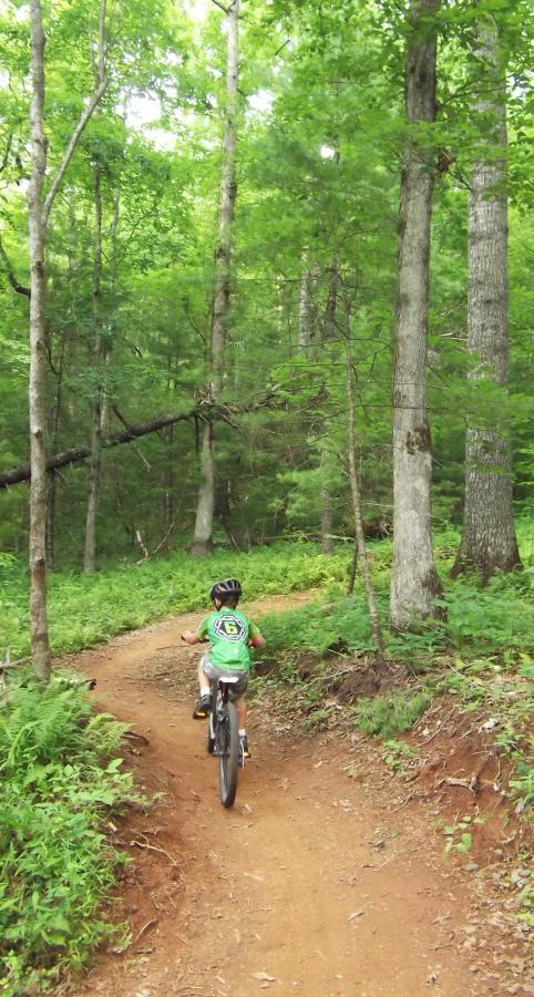 A young child riding a bike along a dirt path in a lush green forest, surrounded by tall trees and ferns. The trail winds through the greenery, inviting exploration and adventure. DuPont State Recreational Forest mountain bike trail.