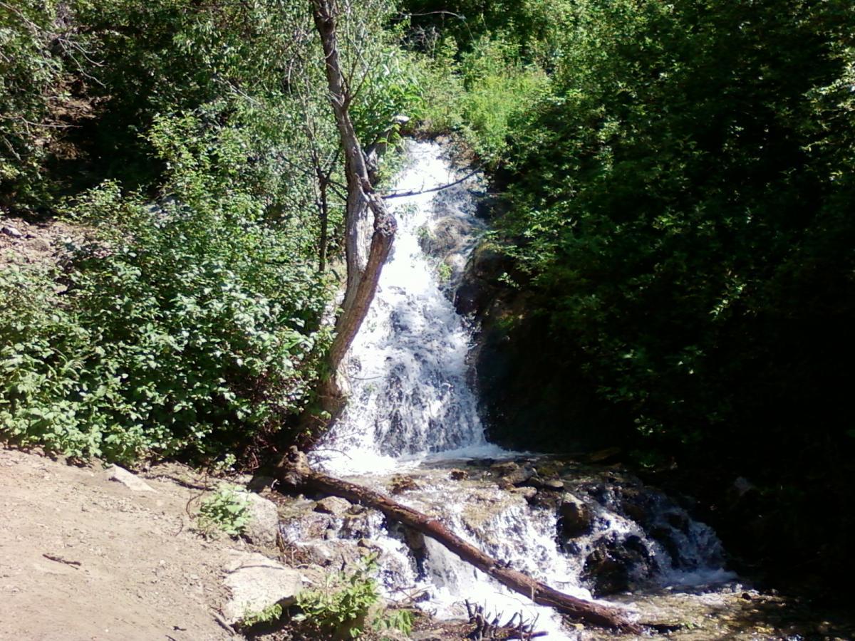 A small waterfall cascading down a rocky slope, surrounded by lush green foliage and bushes. Sunlight filters through the trees, creating a serene natural setting. Corner Canyon Trail mountain bike trail.