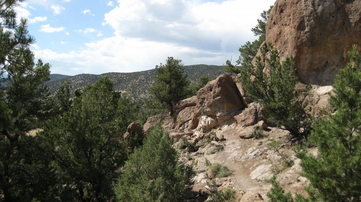 A rocky trail winding through a landscape of green shrubs and trees, with distant mountains visible under a partly cloudy sky. Arkansas Hills mountain bike trail.