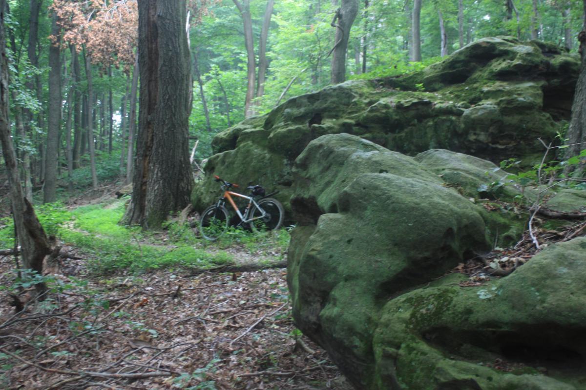 A mountain bike resting beside a large moss-covered rock formation in a dense forest with tall trees and lush greenery. Great Seal State Park mountain bike trail.