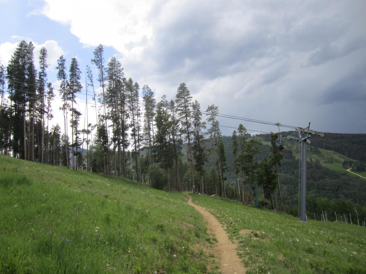 A scenic view of a mountain trail winding through vibrant green grass, surrounded by tall pine trees. In the background, a chairlift structure is visible, indicating a ski or recreational area, with darkening clouds hinting at the possibility of rain. Beaver Creek Ski Resort mountain bike trail.