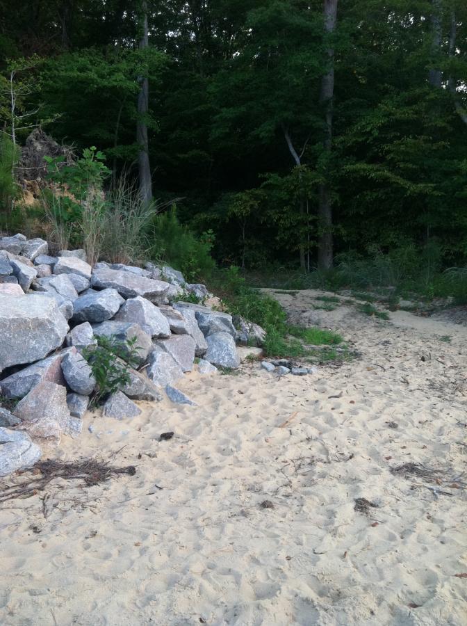 A sandy beach area with a rocky shoreline leading to a dense forest in the background, featuring patches of grass and small plants among the sand and stones. Flanners Beach Loop mountain bike trail.