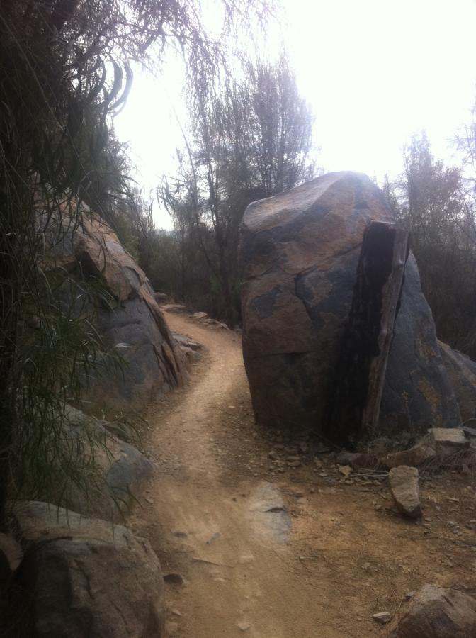 A narrow dirt path winding between two large boulders, surrounded by sparse vegetation and trees. The sky is overcast, creating a muted light in the scene. Stromlo Forest Park mountain bike trail.