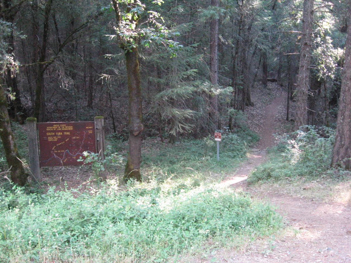 A wooden sign marking the entrance to the South Yuba Trail, surrounded by dense green foliage and trees. A dirt path leads into the forest, indicating the beginning of the trail. Old Flume Trail / South Yuba Trail mountain bike trail.
