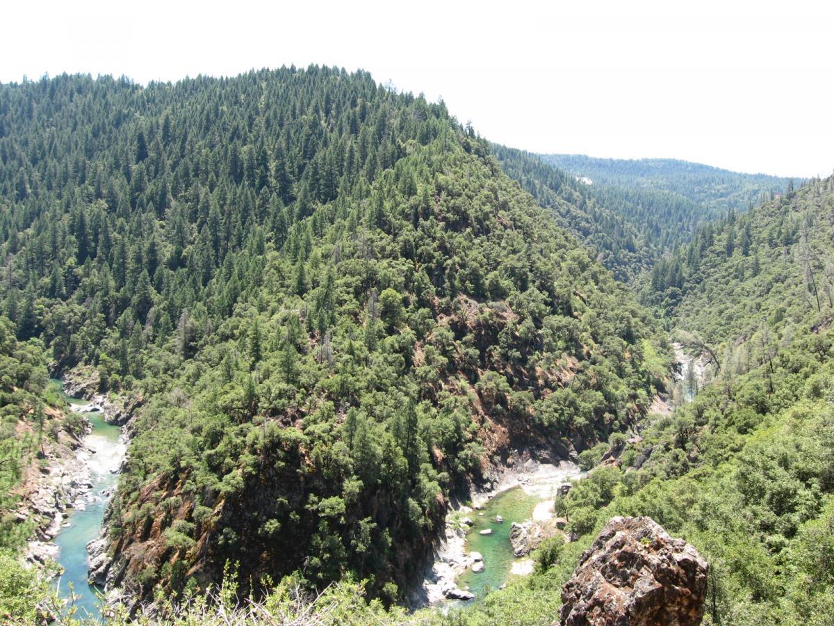 A panoramic view of a lush, green landscape featuring rolling hills covered in dense coniferous trees. A winding river flows through the valley, surrounded by rocky outcroppings and vibrant vegetation, under a bright blue sky. Old Flume Trail / South Yuba Trail mountain bike trail.