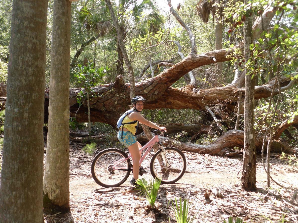 A person wearing a helmet and colorful biking attire is riding a pink mountain bike on a dirt path surrounded by tall trees and lush greenery. A large fallen tree is visible in the background, adding to the serene, natural setting of the trail. Mala Compra mountain bike trail.