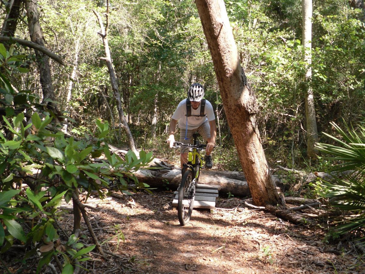 A person riding a mountain bike on a forest trail, navigating over a fallen tree trunk with lush green foliage surrounding the pathway. Sunlight filters through the trees, highlighting the natural scenery. Mala Compra mountain bike trail.