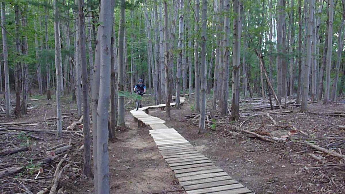 A mountain biker riding along a wooden plank trail through a densely wooded forest. The path winds through tall trees, with some scattered branches and foliage on the ground. The biker is wearing a helmet and riding gear. Lippman Park mountain bike trail.
