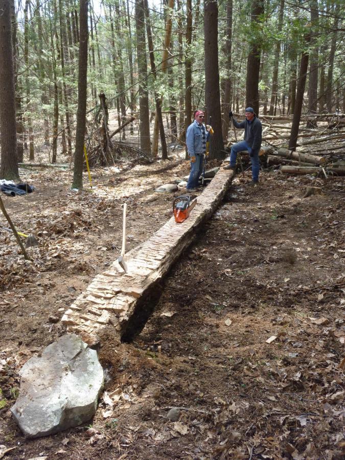 Two individuals working in a wooded area, standing beside a long, partially finished log bridge or walkway made of split wood. One person is using a chainsaw, while the other poses with one foot on the log. Surrounding trees and fallen branches are visible, along with some rocks and scattered leaves on the ground. Lippman Park mountain bike trail.