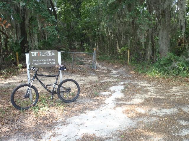 A black bicycle is leaning against a sign that reads "University of Florida: Rivers Rim Forest Conservation Area." The background features a dirt path leading into a lush forest, with trees and greenery surrounding the area. Alligator Alley mountain bike trail.
