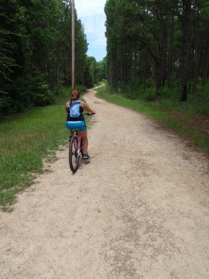 A person riding a bicycle on a dirt path surrounded by tall trees and greenery, with an upward winding trail in the background. The cyclist is wearing a blue outfit and a backpack, enjoying a day of outdoor activity. Elinor Klapp-phipps Park Trails mountain bike trail.